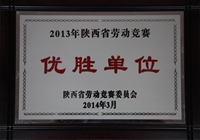 2013ʡڄӸِنλ